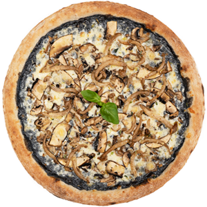 Pizza Funghi